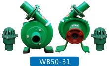 WB50-31