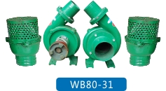 WB80-31