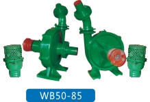 WB50-85