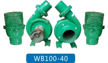 WB100-40