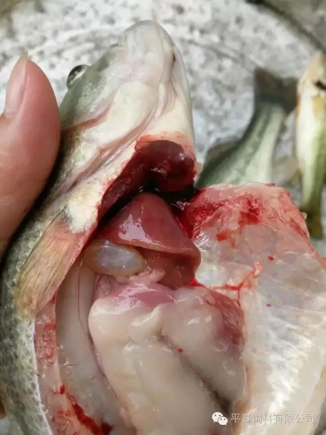 微信图片_202006101657355.jpg 微信图片_202006101657355.jpg