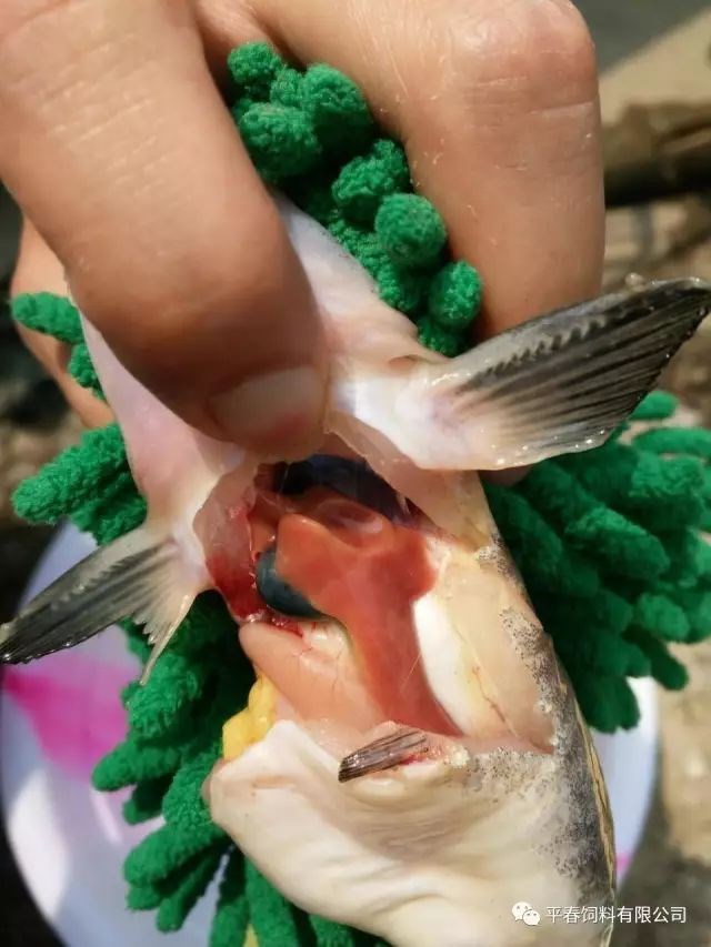 微信图片_202006101657352.jpg 微信图片_202006101657352.jpg