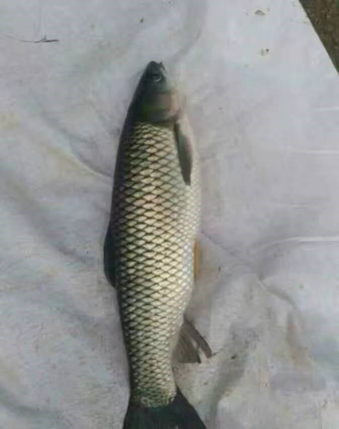 微信图片_202006101657351.jpg 微信图片_202006101657351.jpg