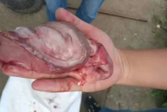 微信图片_20200610165735.jpg 微信图片_20200610165735.jpg